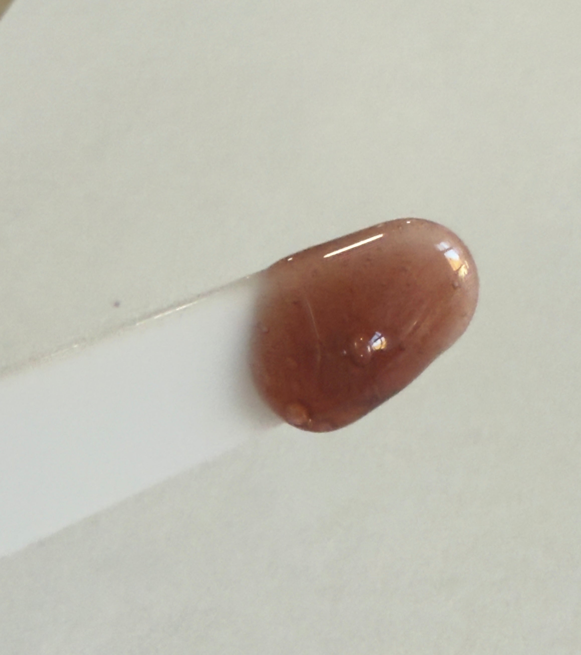 Citrus Mocha Glow Lip Gloss|Vegan and Hydrating gloss|Nbglossy Holiday Charm Collection